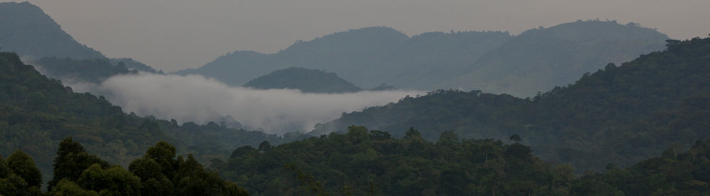 Silverback Lodge Buhoma ภายนอก รูปภาพ
